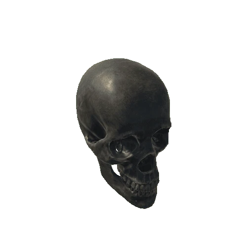 base_mesh_skull 2